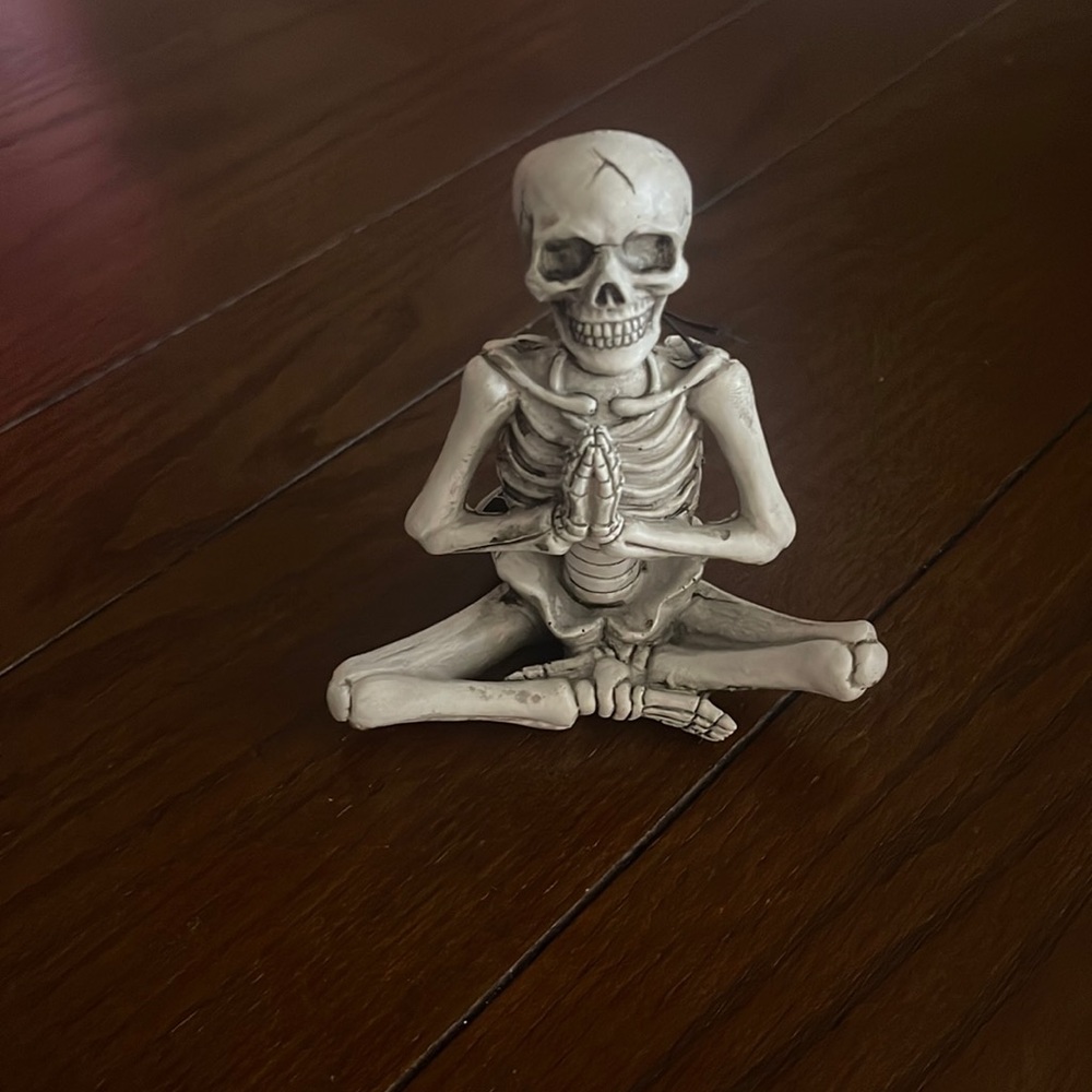 Trader Joe’s Yoga Skeleton